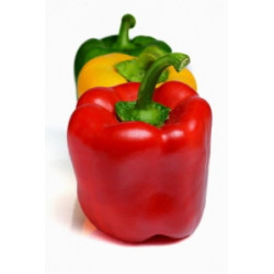 Paprika 3-väri Hollanti 0,5 kg